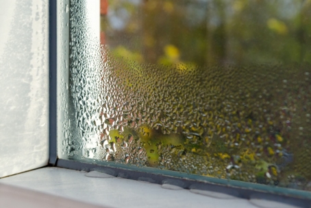 Moist window sill